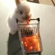 모모