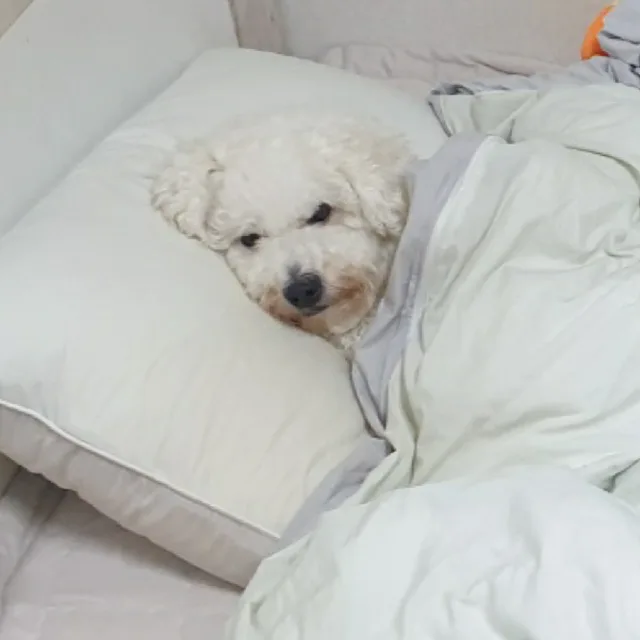 짐정리합니다
