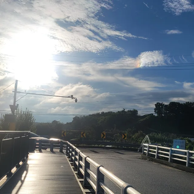 코끼리