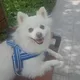뷰하우스