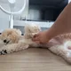 오지상
