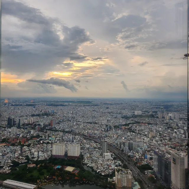 소나무