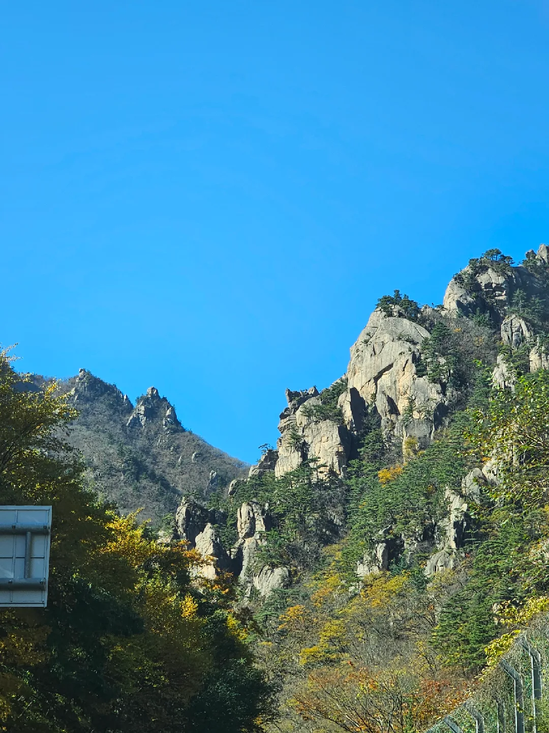 처음처럼