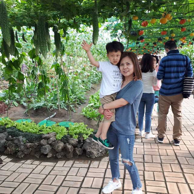 조아