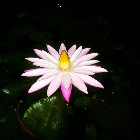 바람소리
