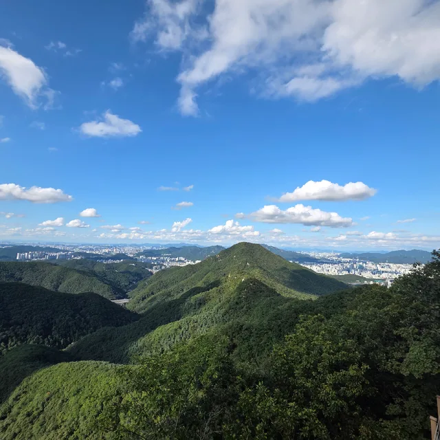 또봉