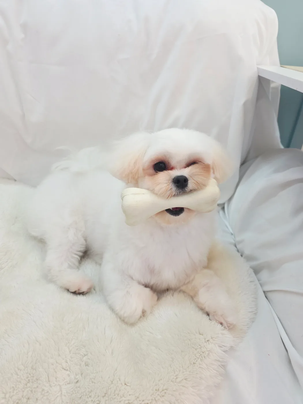 가을정원
