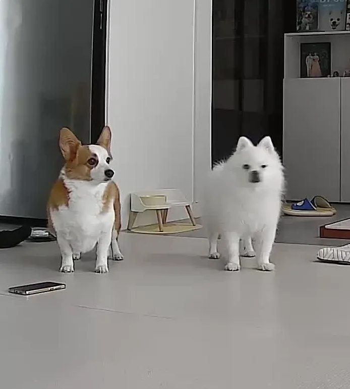 뀨웅