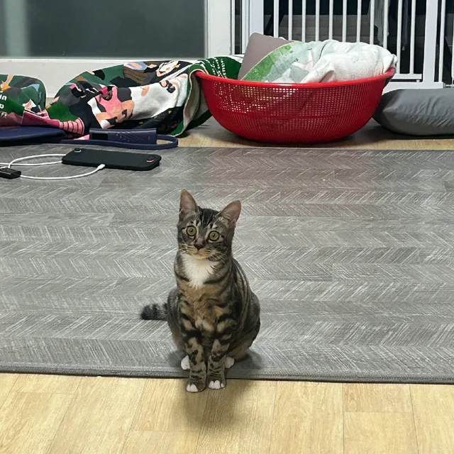 헬러우