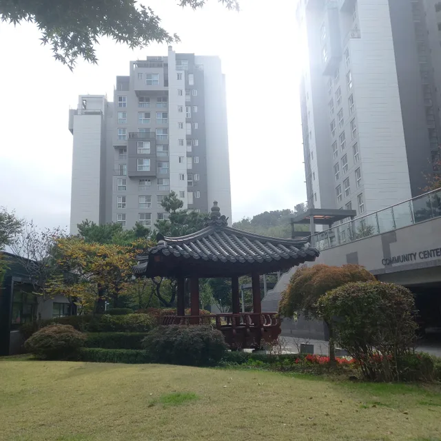 비우기실천