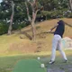 타이거웅즈