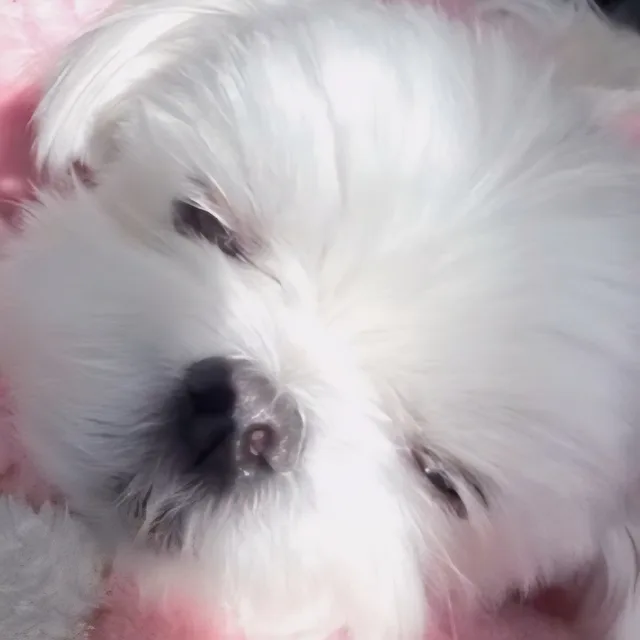 euny