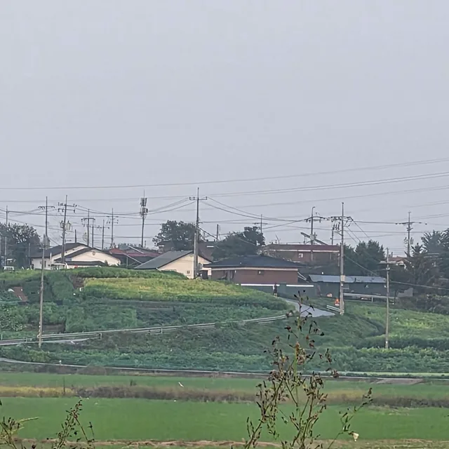 기억을꿰메는사람