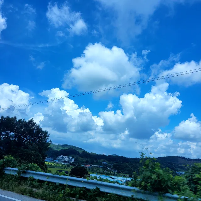 꽃내음