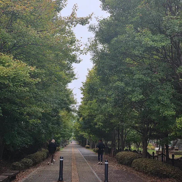 사계절
