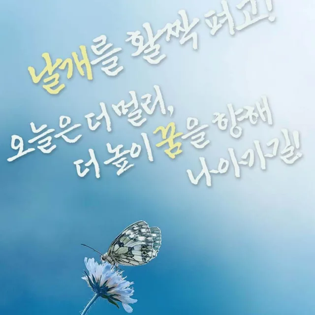 토토로