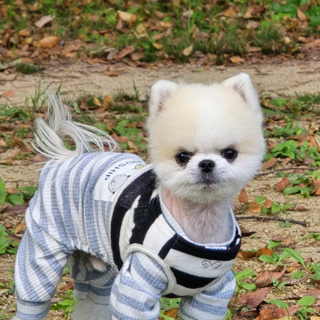 매너남