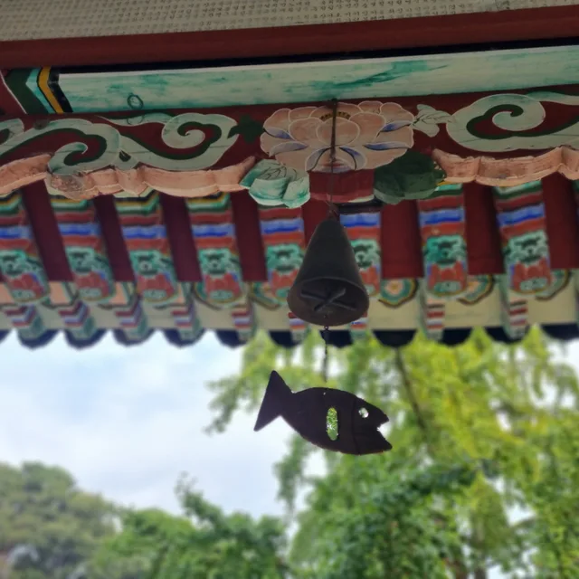 해피데이