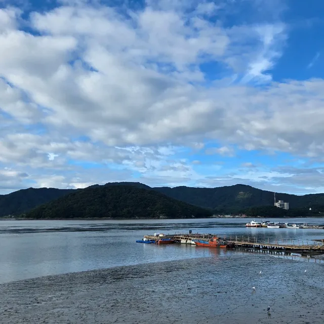 꼼꼼미