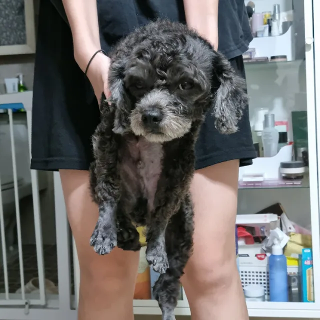 당근당군