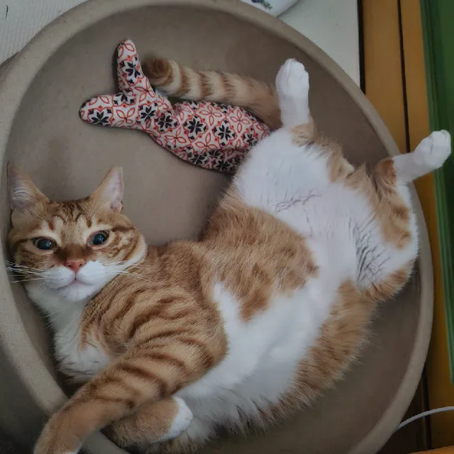 뀨잉