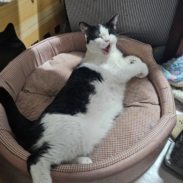 지니뷰티