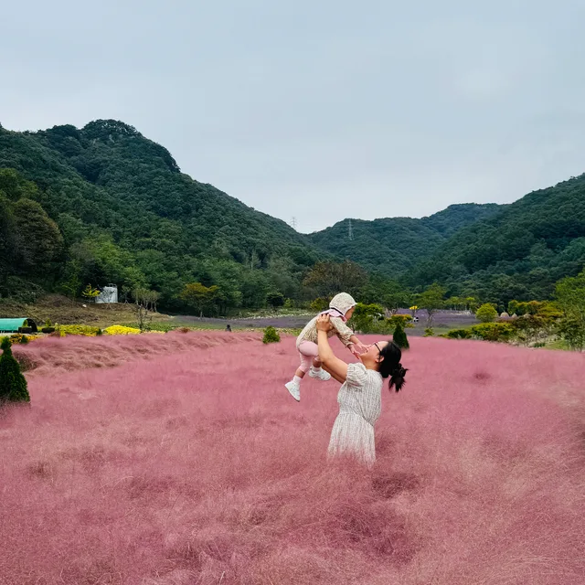 불나방의육아