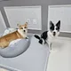 루아라임love