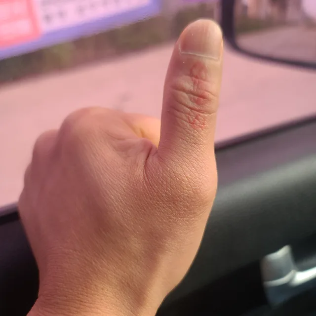 차차차