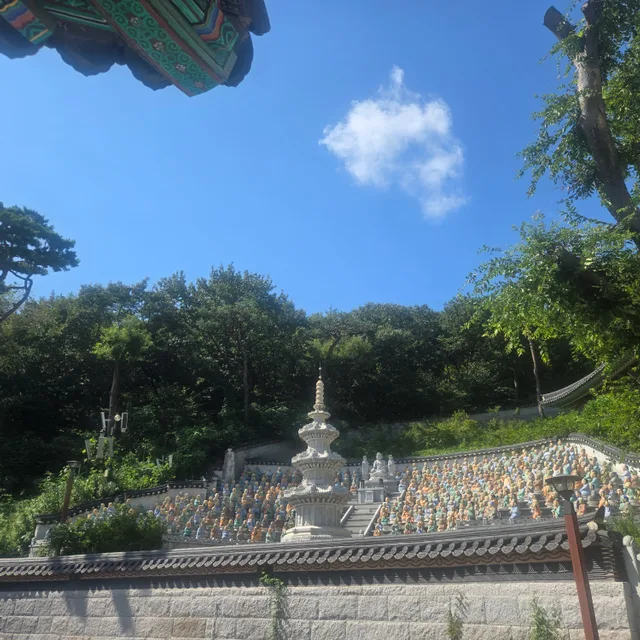 아들둘맘