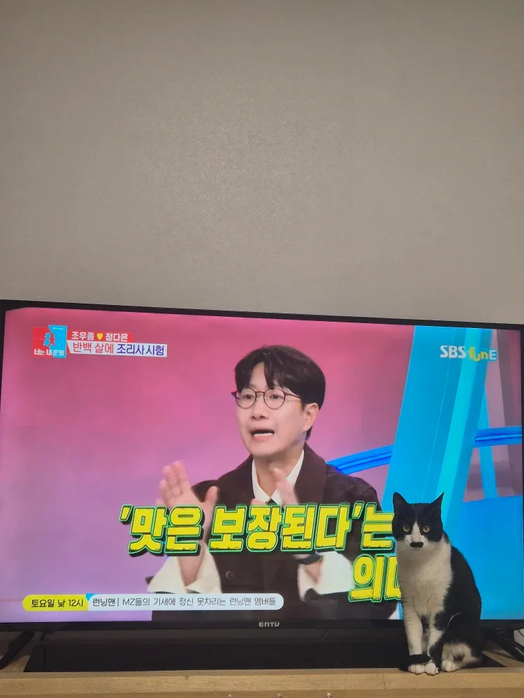 시월시비