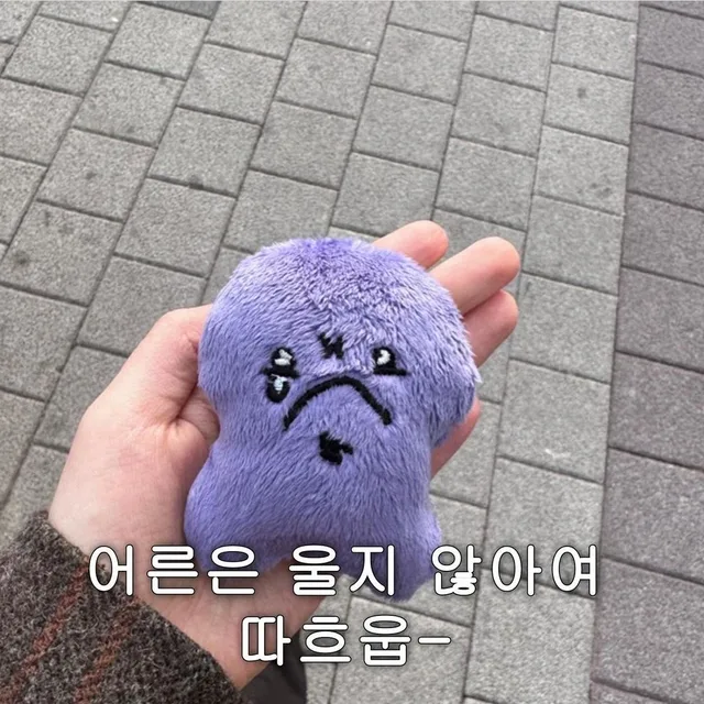절충은내가하는거야