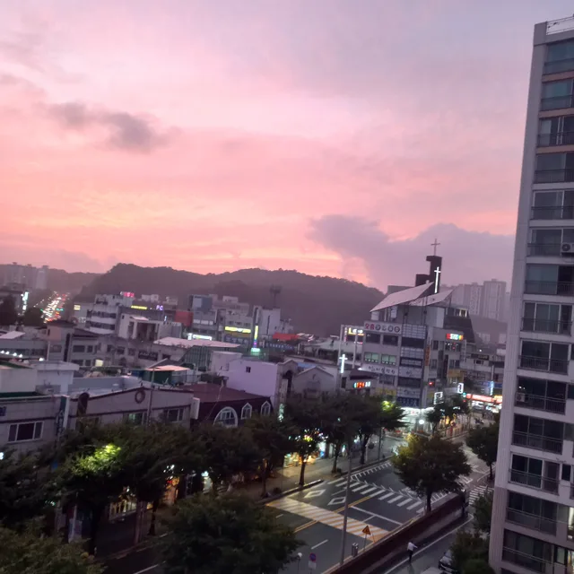 비움