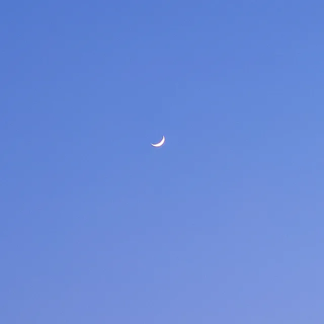 아담