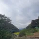 팬더