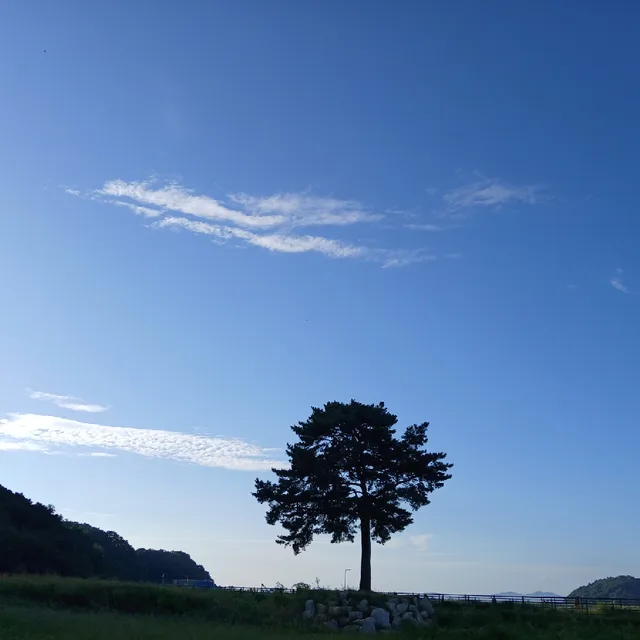 귀여운팬더