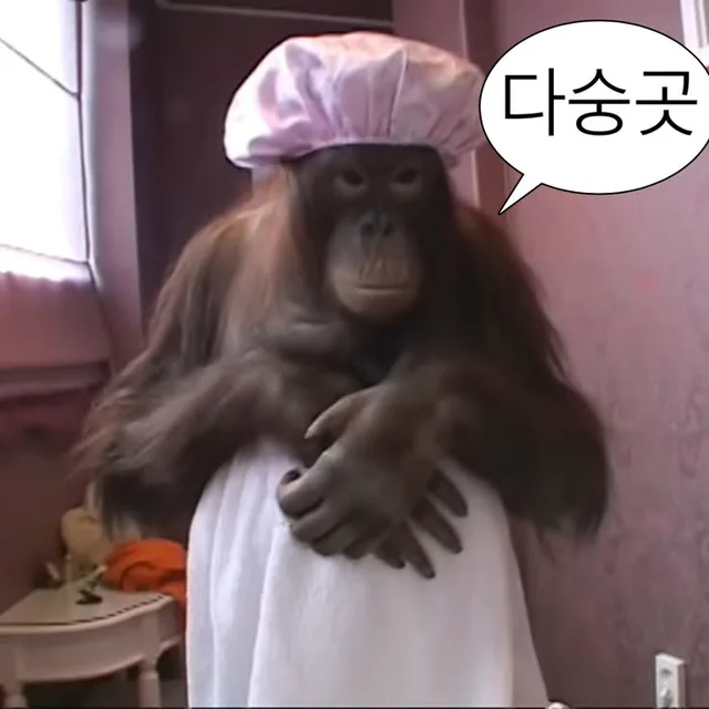 로이