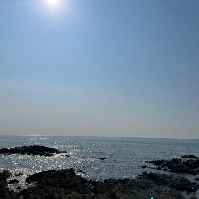 쿄쿄쿄쿄