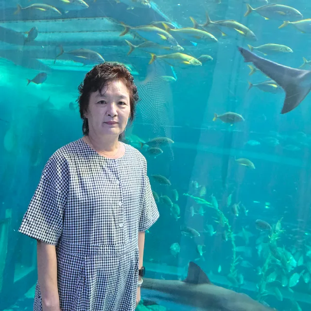 새로운출발