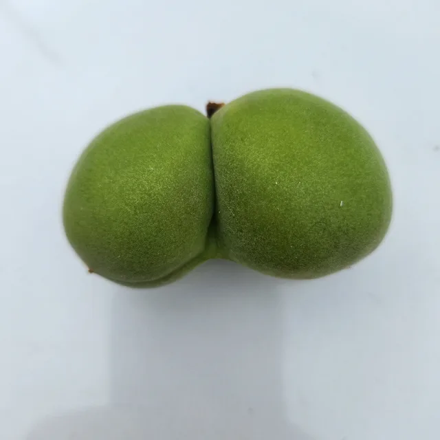 언택트당근