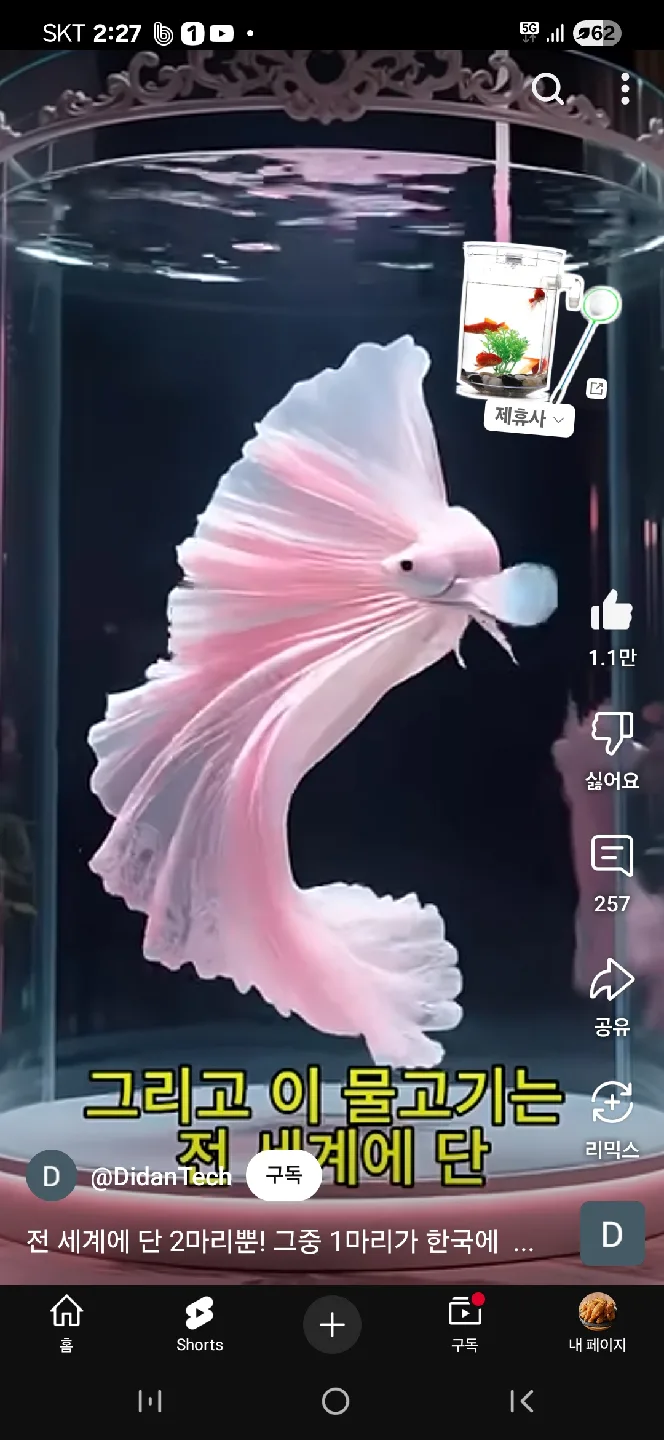 profile