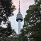삼둥이