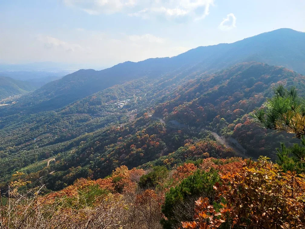 배드윈찻집