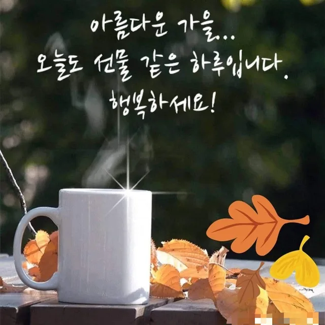 비건뷰티컨설턴트