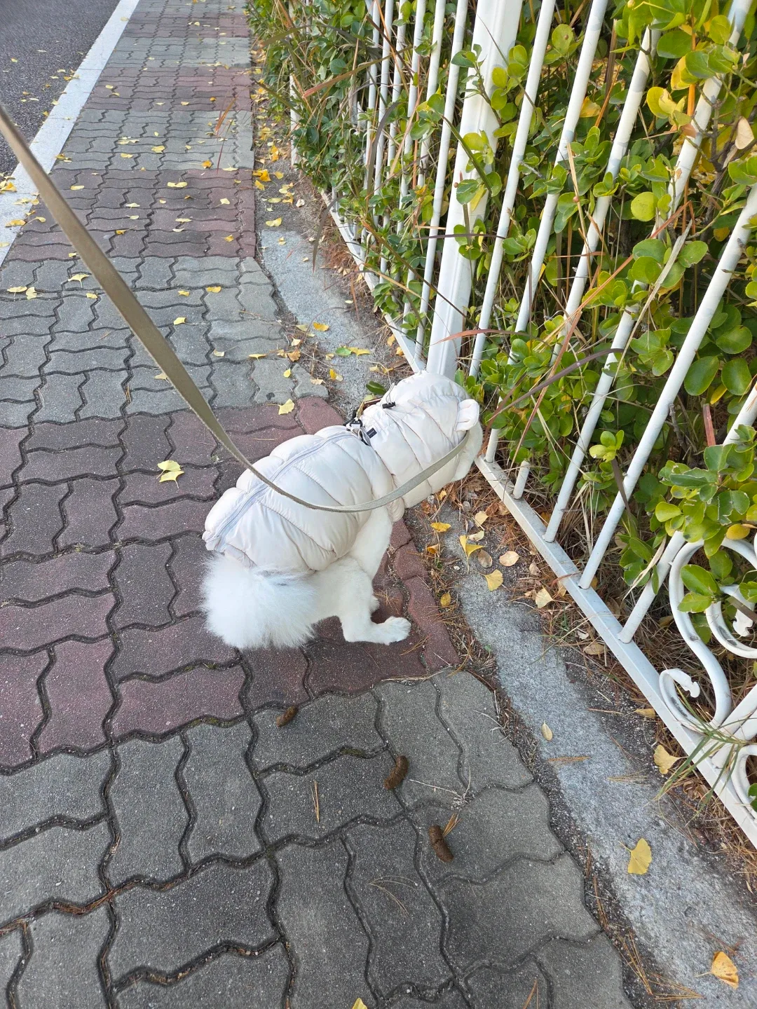 당근은매너다