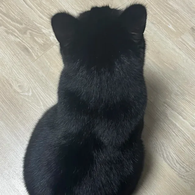 유나