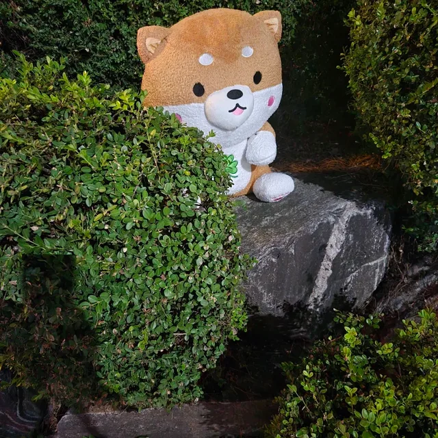콤보