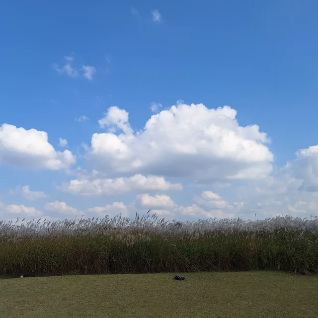 MAY