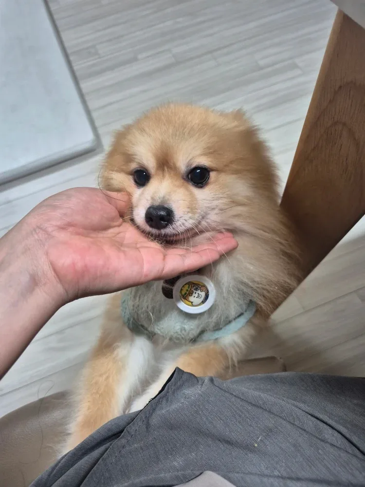 매너거래해요
