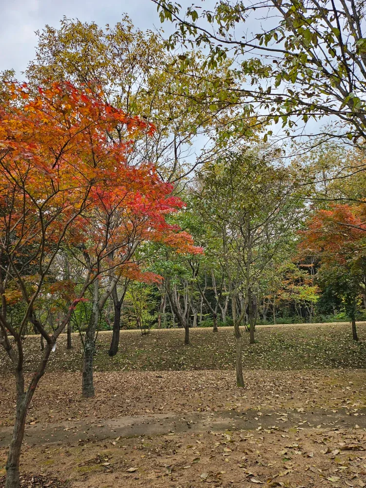 가을